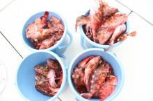 KIM Fishing Guide Service 釣果