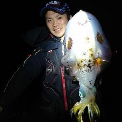 アオリイカの釣況に黒潮の大蛇行の影響は...？【角田裕介氏連載記事浮きアオリイカ釣り 第16弾】