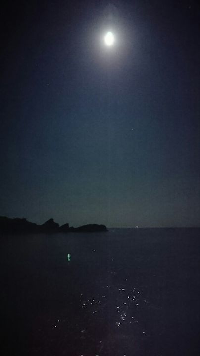 月明かりが照らす釣れそうな雰囲気の海面