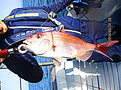 遊漁船 未紗奈 釣果