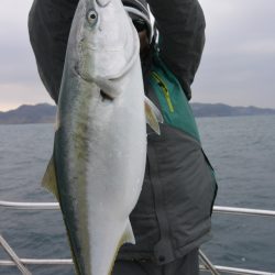 ジギング船 BLUEWATER 釣果