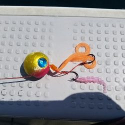 遊漁船 ニライカナイ 釣果