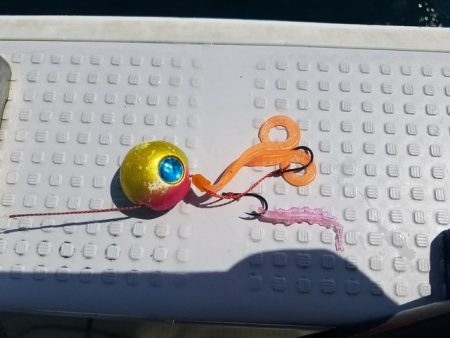 遊漁船 ニライカナイ 釣果