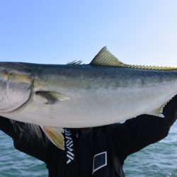 ジギング船 BLUEWATER 釣果