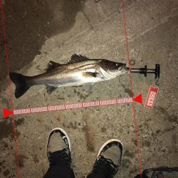 大阪北港ライトゲーム