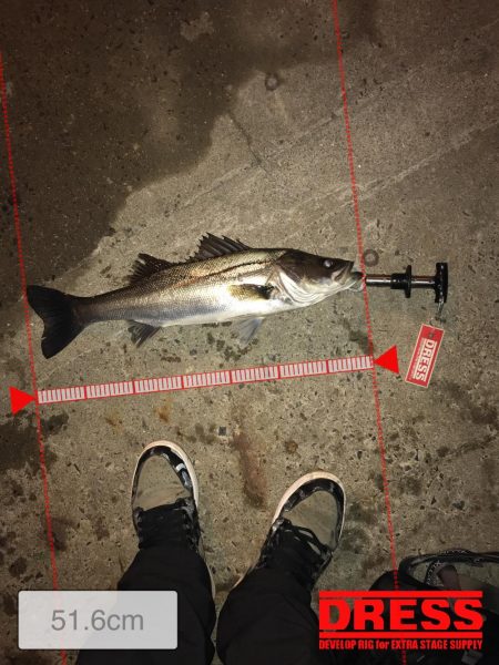 大阪北港ライトゲーム