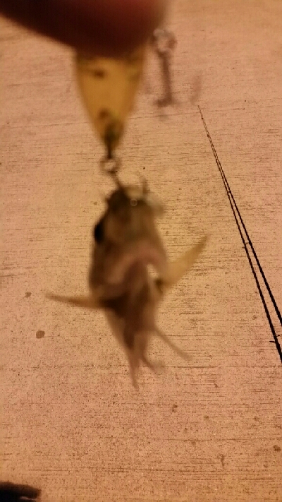 週末、人が多くなってきた。