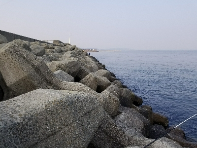 やっぱり穴釣り