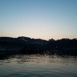 イワシ釣り ~ノマセは不発