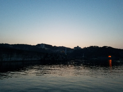 イワシ釣り ~ノマセは不発