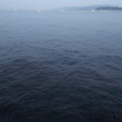 メバル終わった?