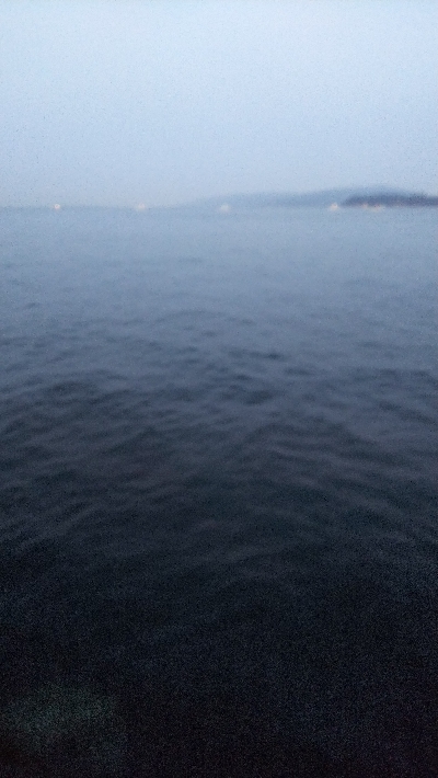 メバル終わった？