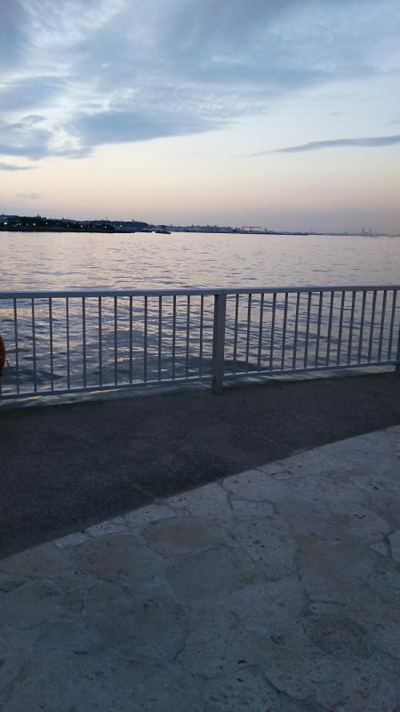 かろうじで１匹…