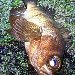 安定のポイントへ