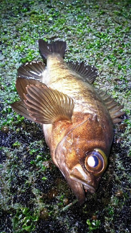 安定のポイントへ