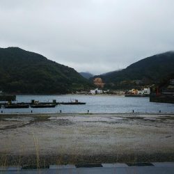 有田周辺をランガン