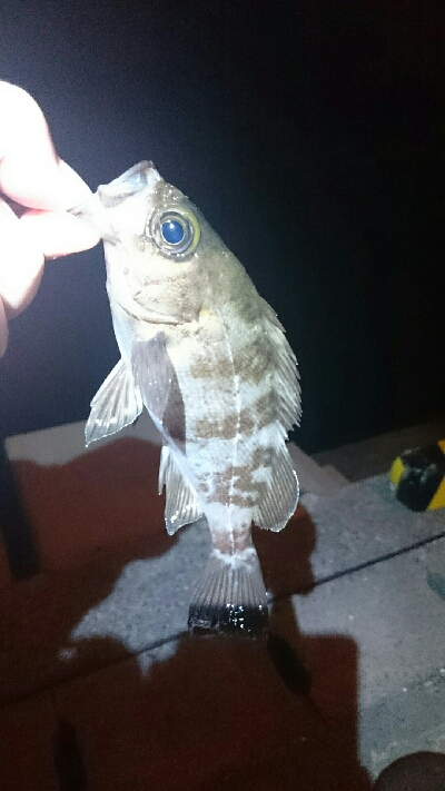 気配はあるが…