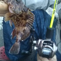 気候が良くなって来ました