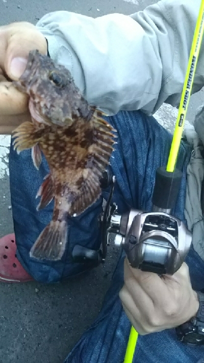 気候が良くなって来ました