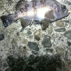 期待していたけど