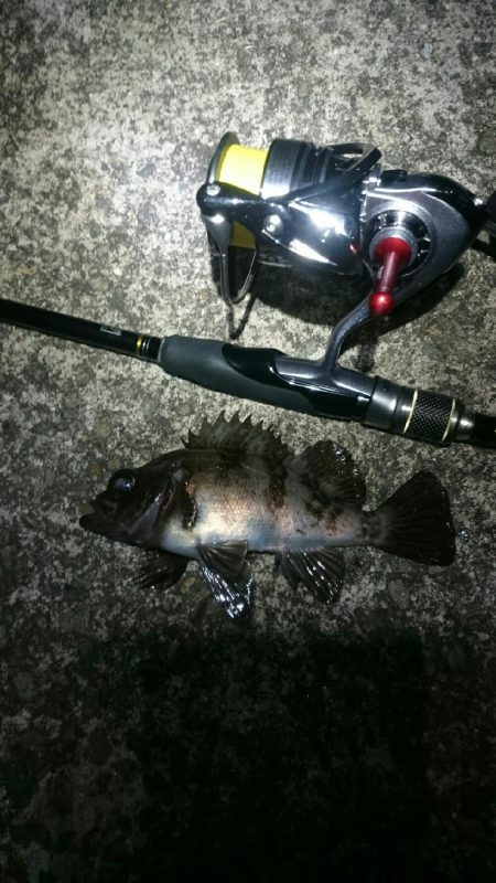 ボウズからの。