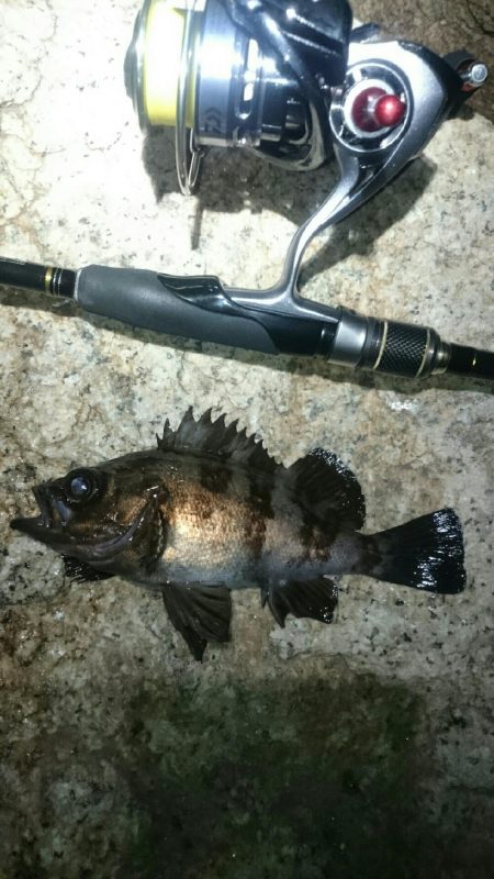 フロートメバリング