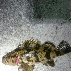 激渋メバリング