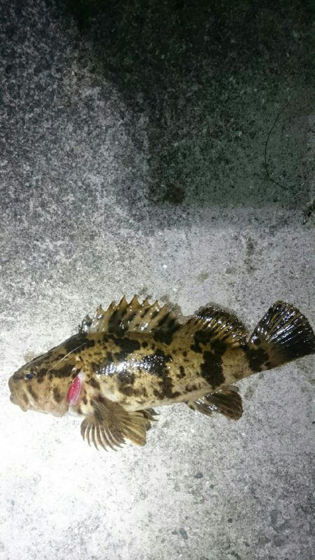 激渋メバリング