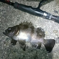 ショートバイト