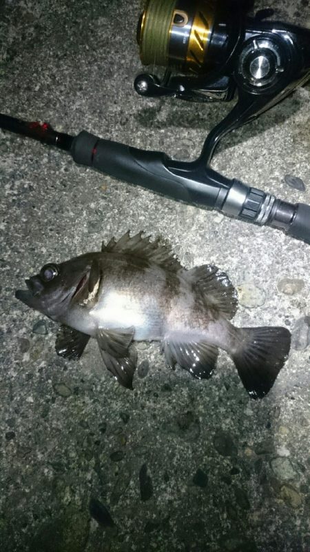 ショートバイト