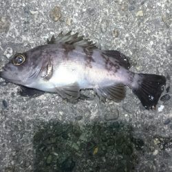 まだまだ寒い。