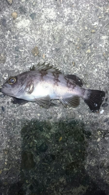 まだまだ寒い。