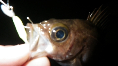 厳しかったけど、なんとかなったぁ！