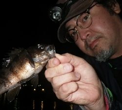 やっぱ、メバリング！