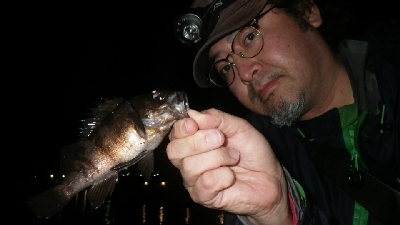 やっぱ、メバリング！