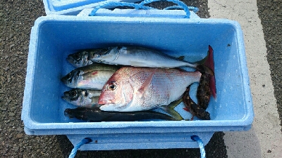 マル秘スポット