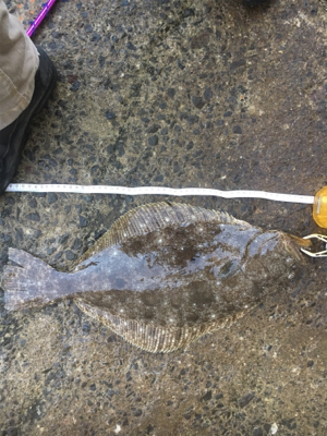 まさかのジグにヒット！