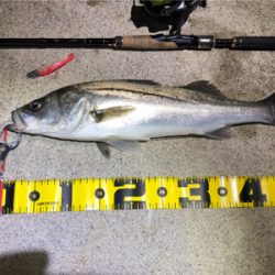 四日市河川シーバス