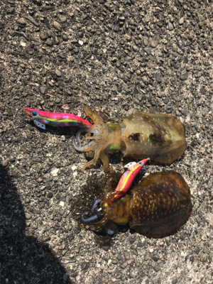 パタパタWヒット