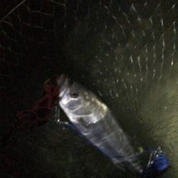 初ウェーディング