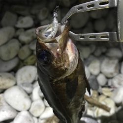 久しぶりの感触!