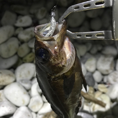 久しぶりの感触!