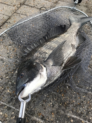 なかなか厳しい…