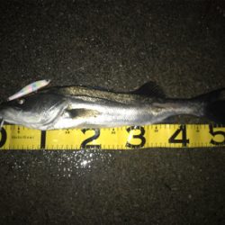 爆風in四日市天白川