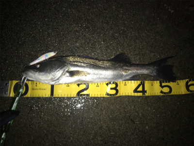 爆風in四日市天白川