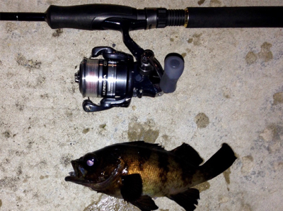 怠慢メバリング