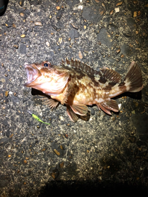 ガシリングナイトゲーム/ボラリングも