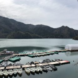 銀山湖 ワカサギ