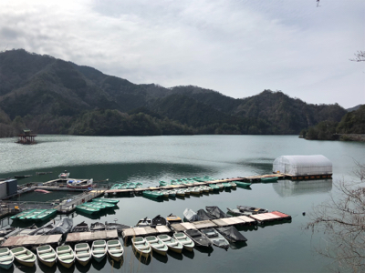 銀山湖 ワカサギ