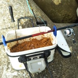 久し振りの垂水一文字